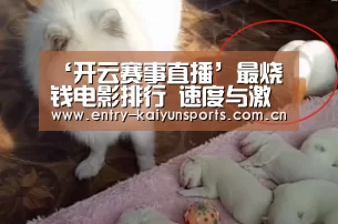 ‘开云赛事直播’最烧钱电影排行 速度与激情系列居然连前十名都没进(图3) 开云赛事直播