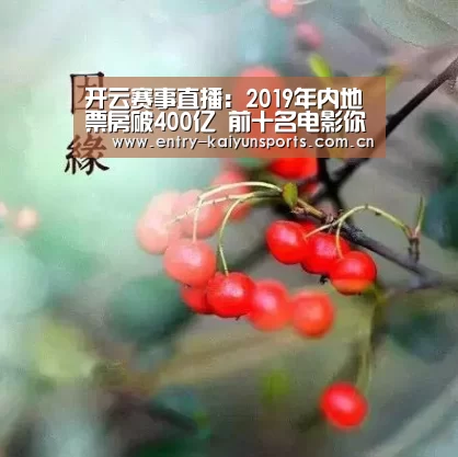 开云赛事直播:2019年内地票房破400亿 前十名电影你都看过了吗?(图1) 开云官网